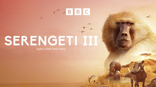 Serengeti III poster — TV series on Max