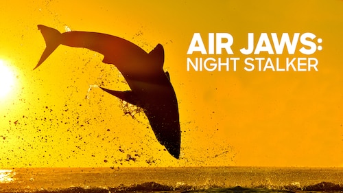 Air Jaws: Night Stalker poster — movie on Max