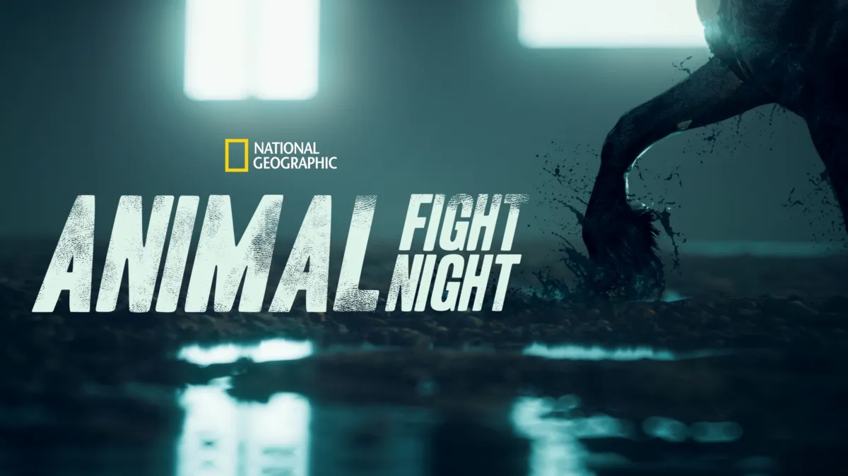 Animal Fight Night poster — TV series on Disney+