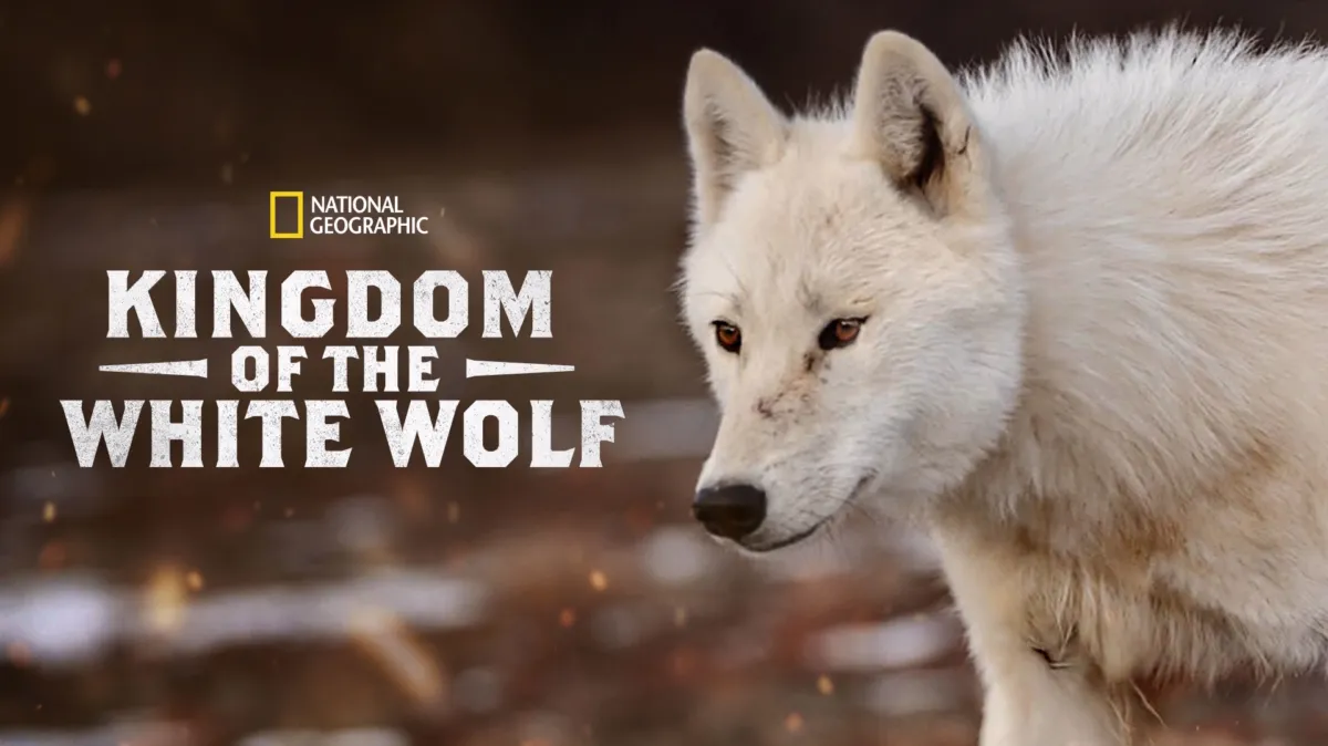 Kingdom of the White Wolf poster — TV series on Disney+
