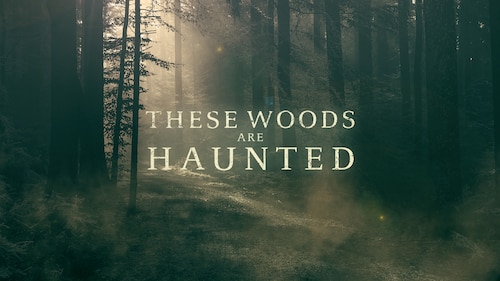 These Woods Are Haunted poster — TV series on Max