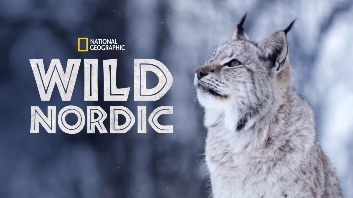 Wild Nordic poster — TV series on Disney+