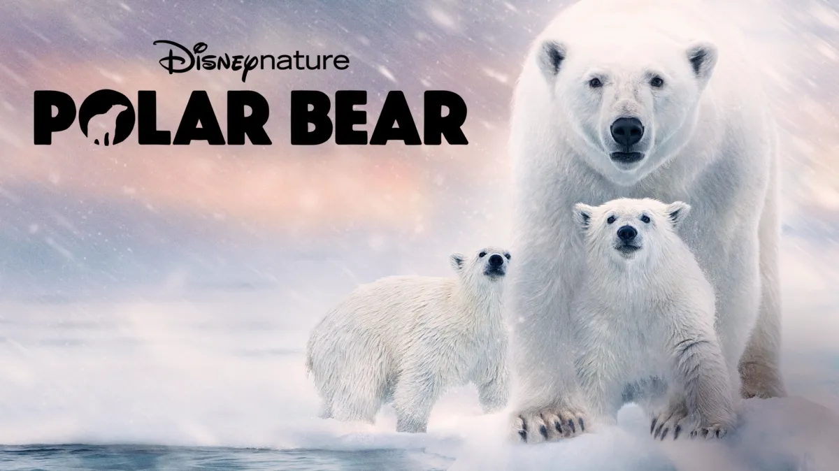 Polar Bear poster — movie on Disney+