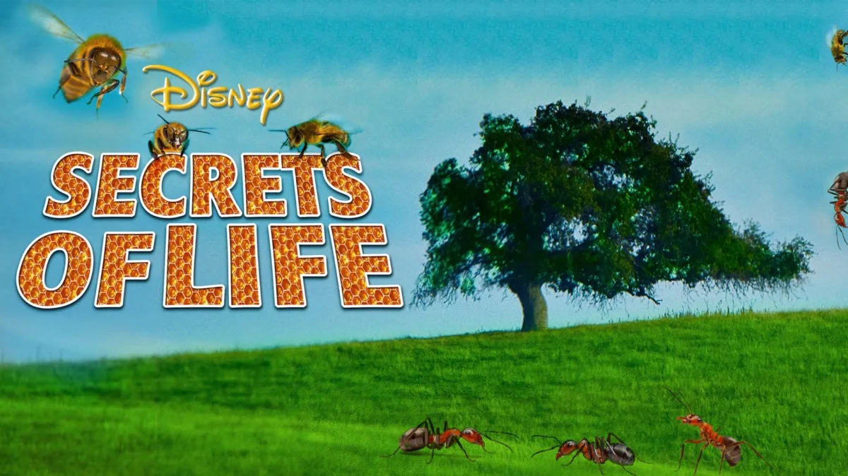 Secrets of Life poster — movie on Disney+