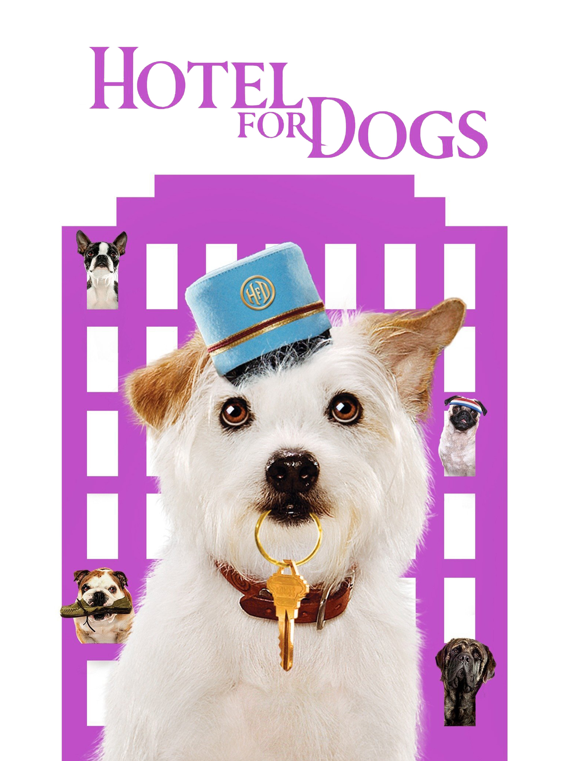 Hotel for Dogs poster — movie on Prime Video