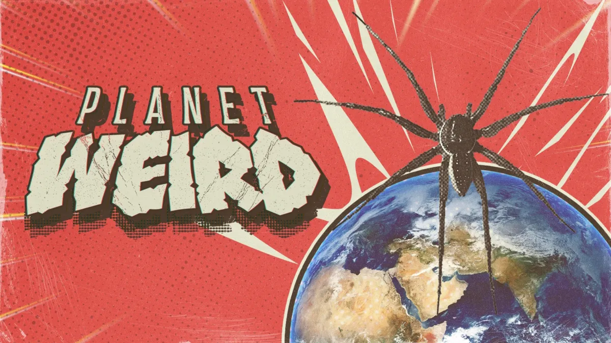 Planet Weird poster — TV series on Disney+