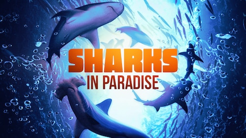 Sharks in Paradise poster — movie on Max