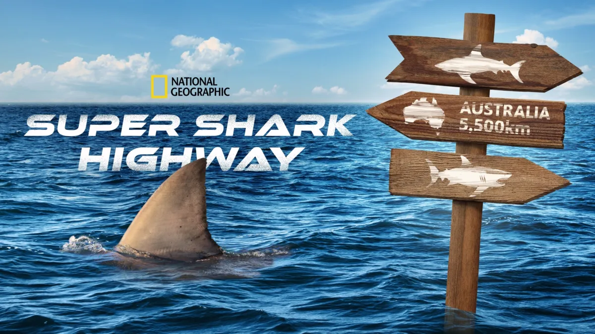 Super Shark Highway poster — TV series on Disney+