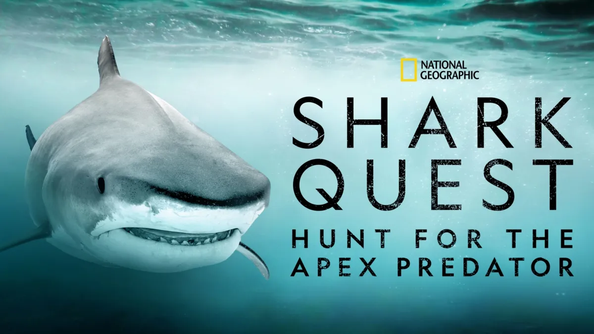 Shark Quest: Hunt for the Apex Predator poster — TV series on Disney+