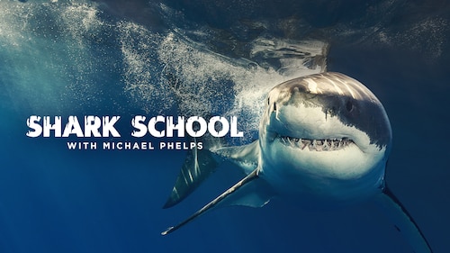 Shark School With Michael Phelps poster — movie on Max