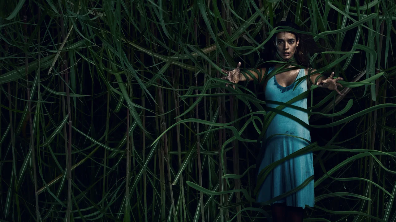 In the Tall Grass
