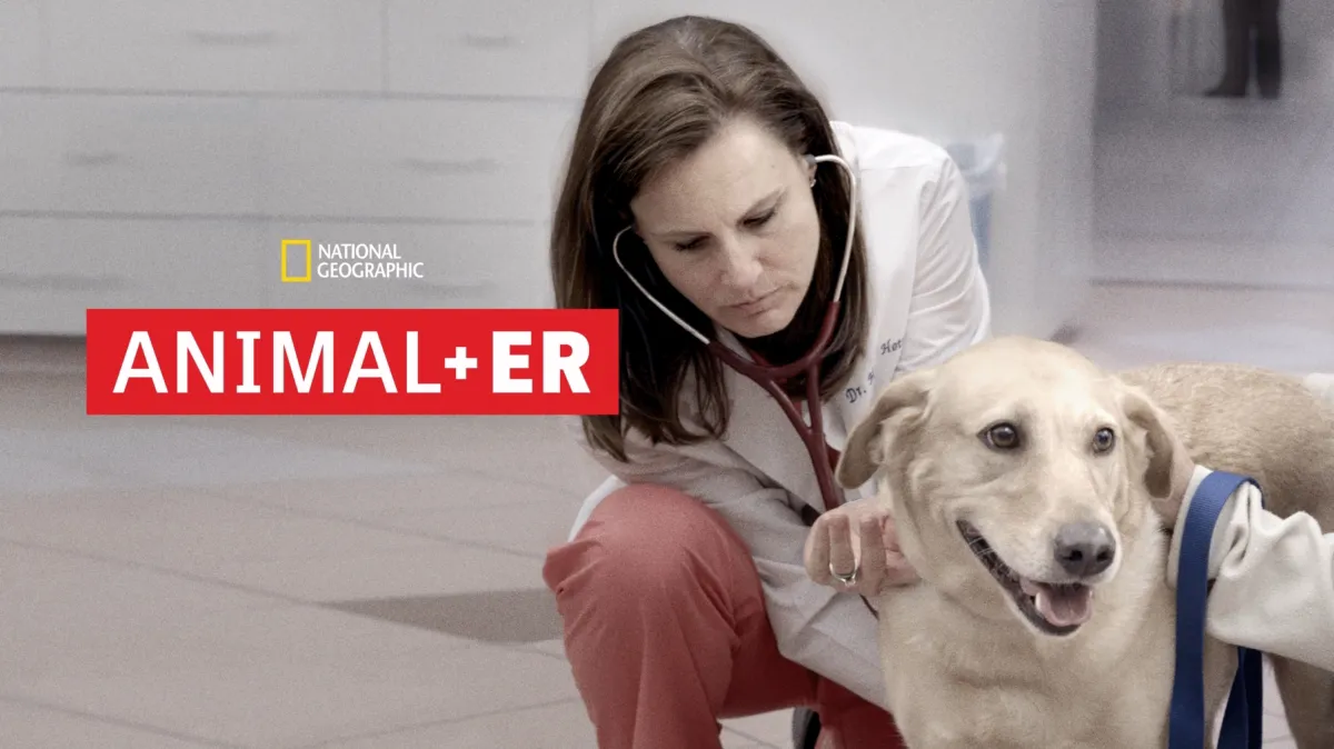 Animal ER poster — TV series on Disney+