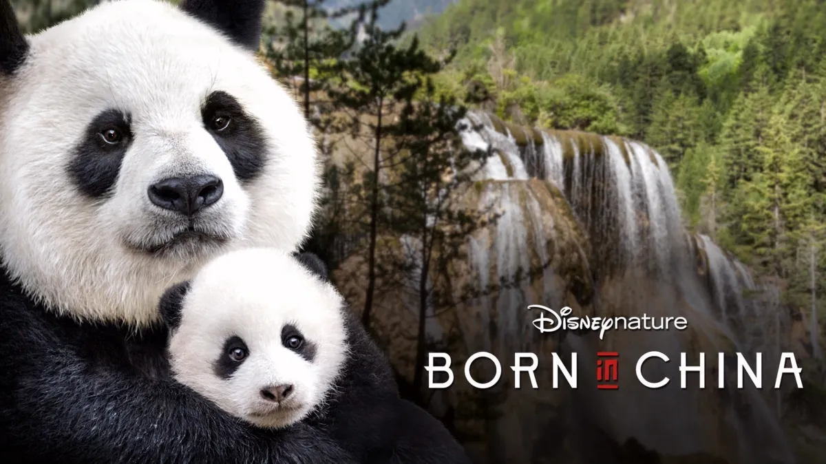Born in China poster — movie on Disney+