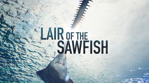 Lair of the Sawfish poster — movie on Max