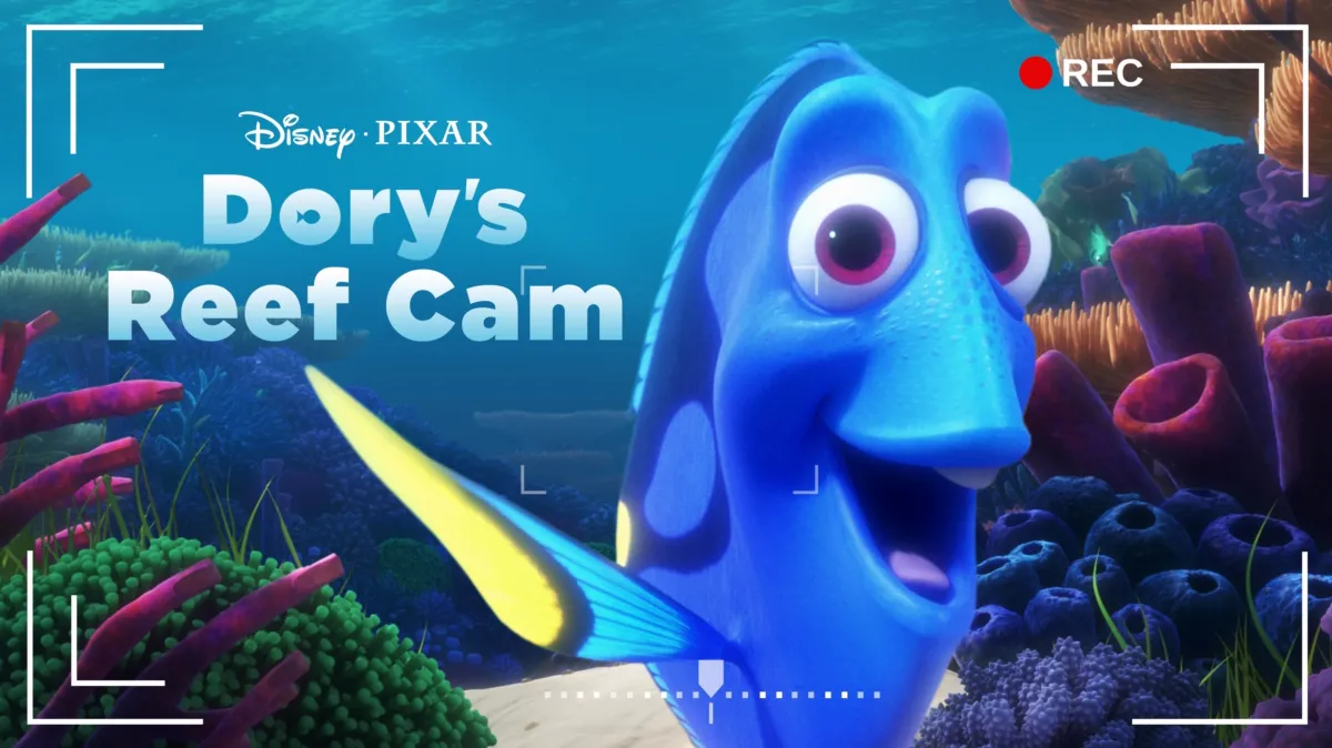 Dory's Reef Cam poster — movie on Disney+
