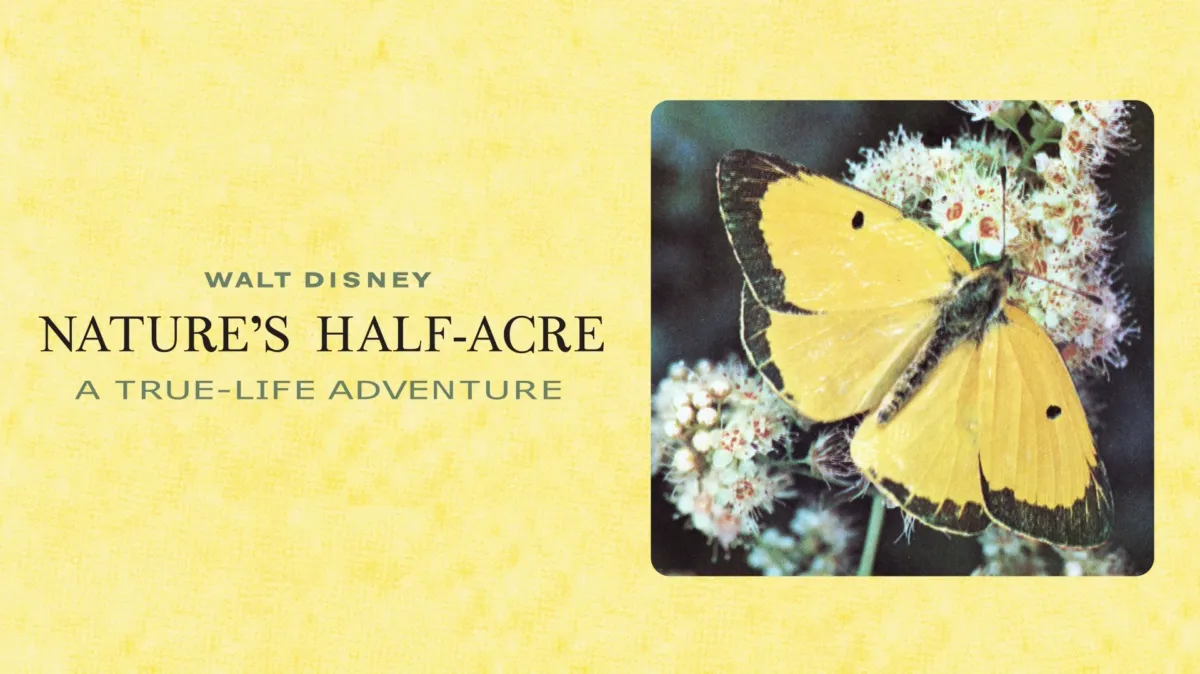 Nature's Half Acre poster — movie on Disney+