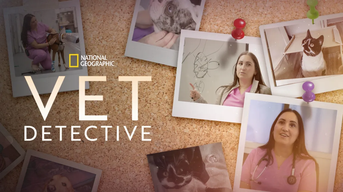 Vet Detective poster — TV series on Disney+