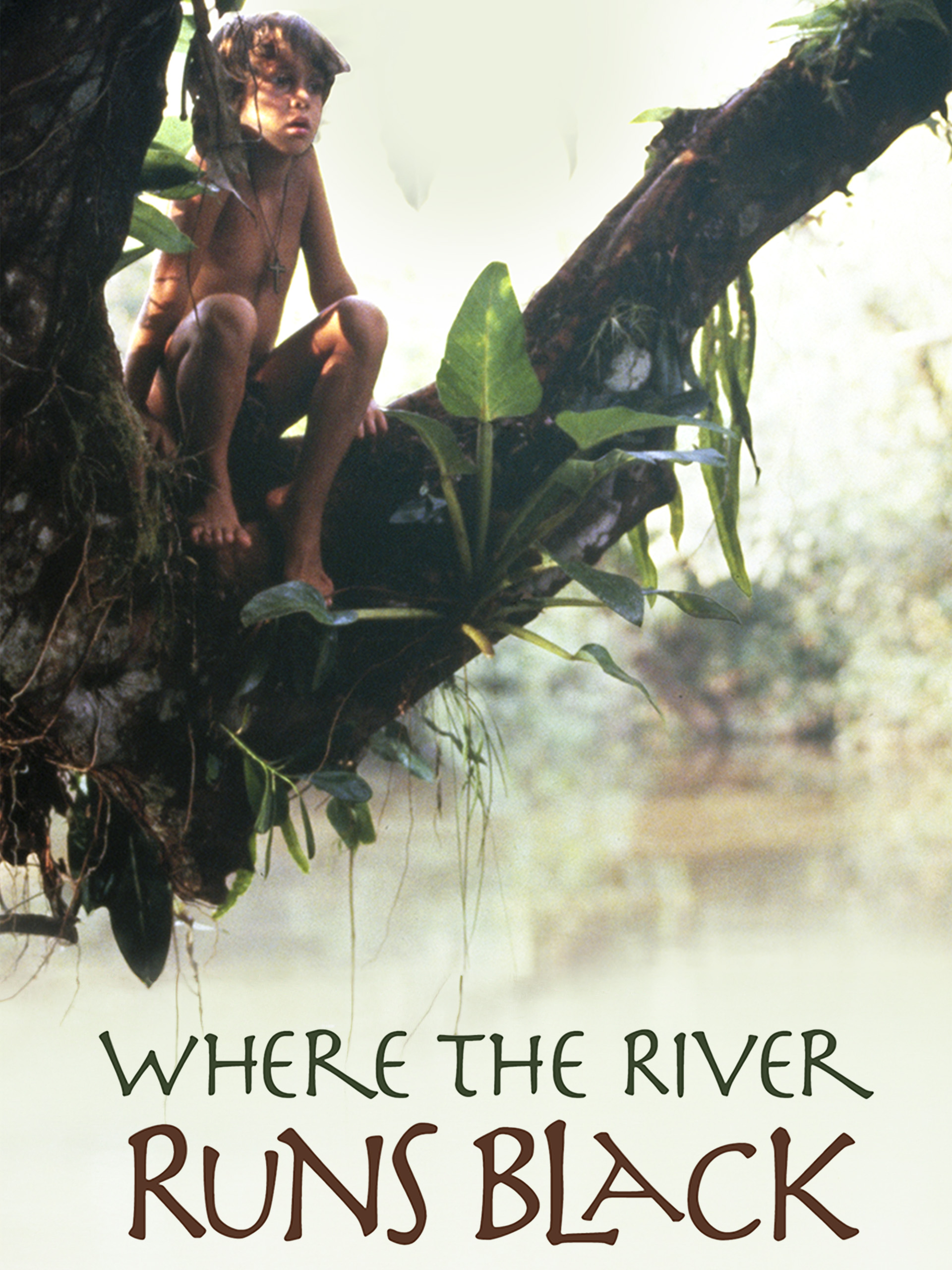 Where the River Runs Black poster — movie on Prime Video