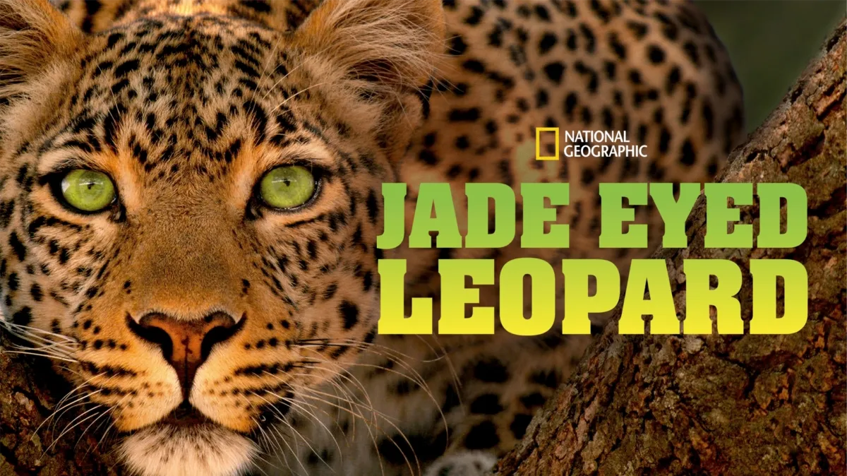 Jade Eyed Leopard poster — movie on Disney+