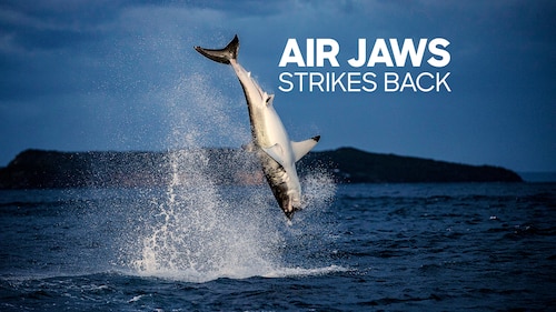Air Jaws Strikes Back poster — movie on Max