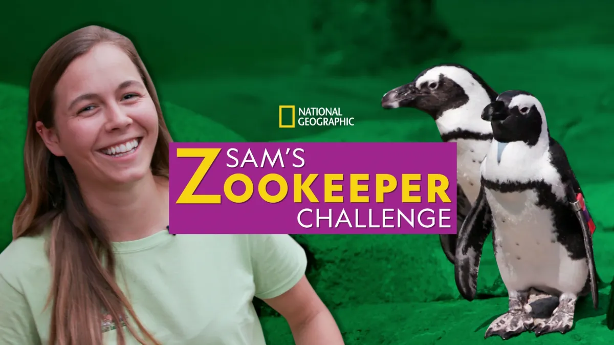 Sam's Zookeeper Challenge poster — TV series on Disney+