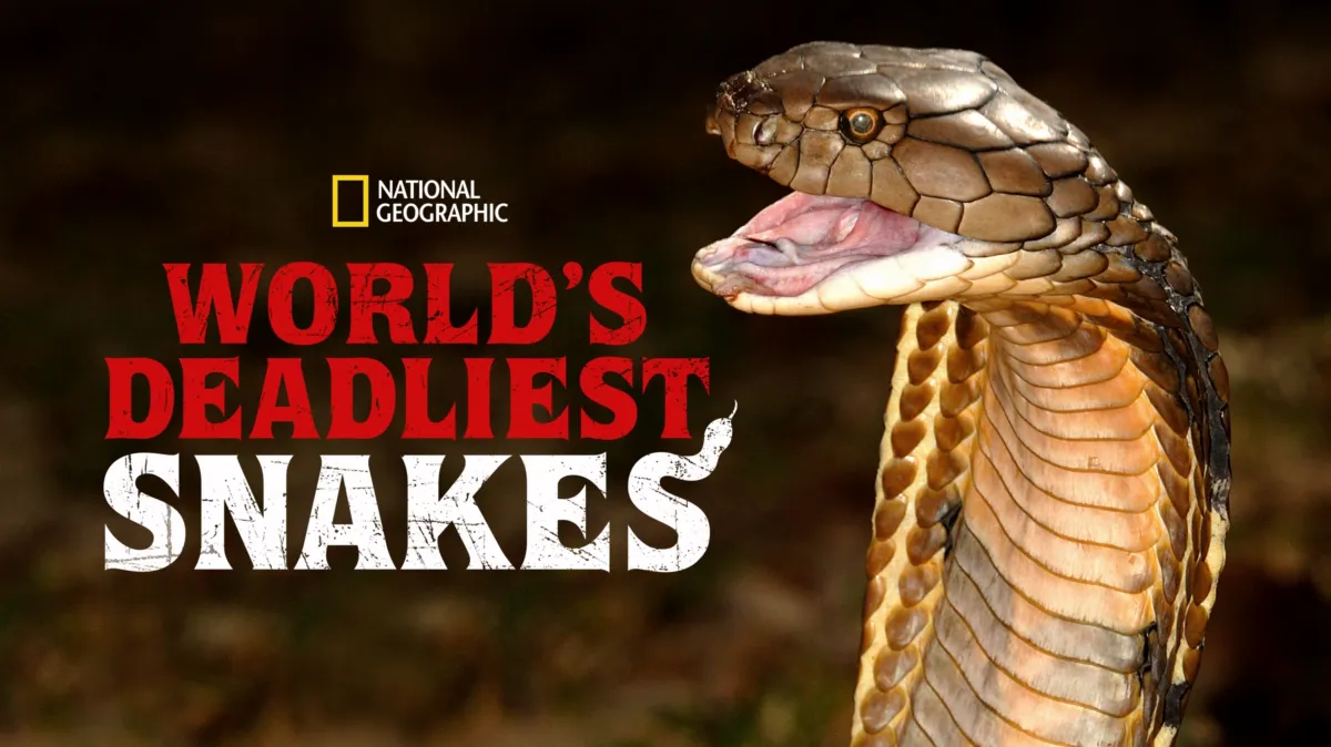 World's Deadliest Snakes poster — TV series on Disney+