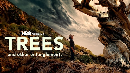 Trees And Other Entanglements poster — movie on Max