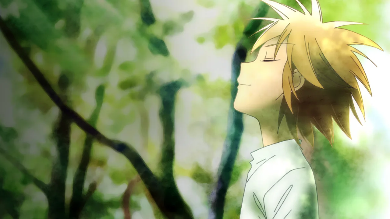 Forest of Piano