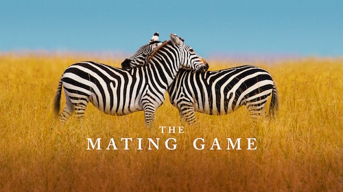 The Mating Game poster — TV series on Max