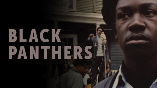Black Panthers poster — movie on Max