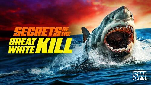 Secrets of the Great White Kill poster — movie on Max