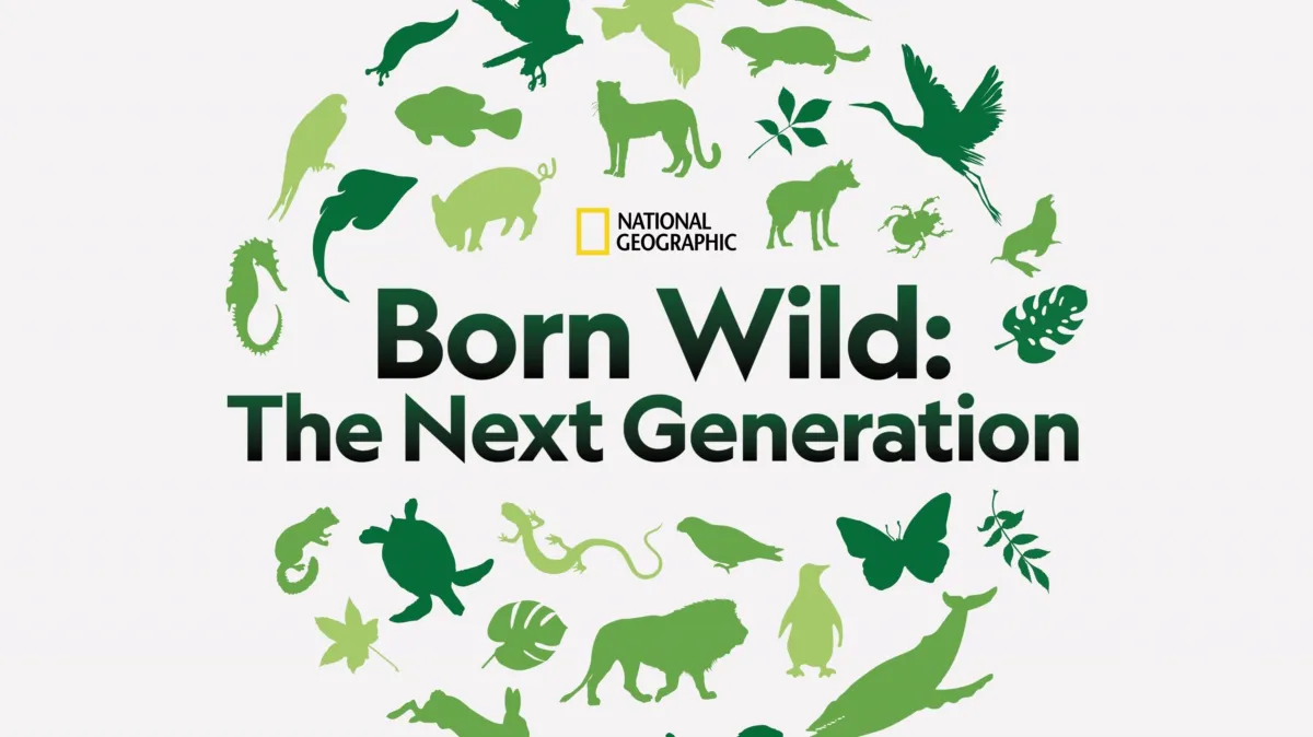 Born Wild: The Next Generation poster — movie on Disney+
