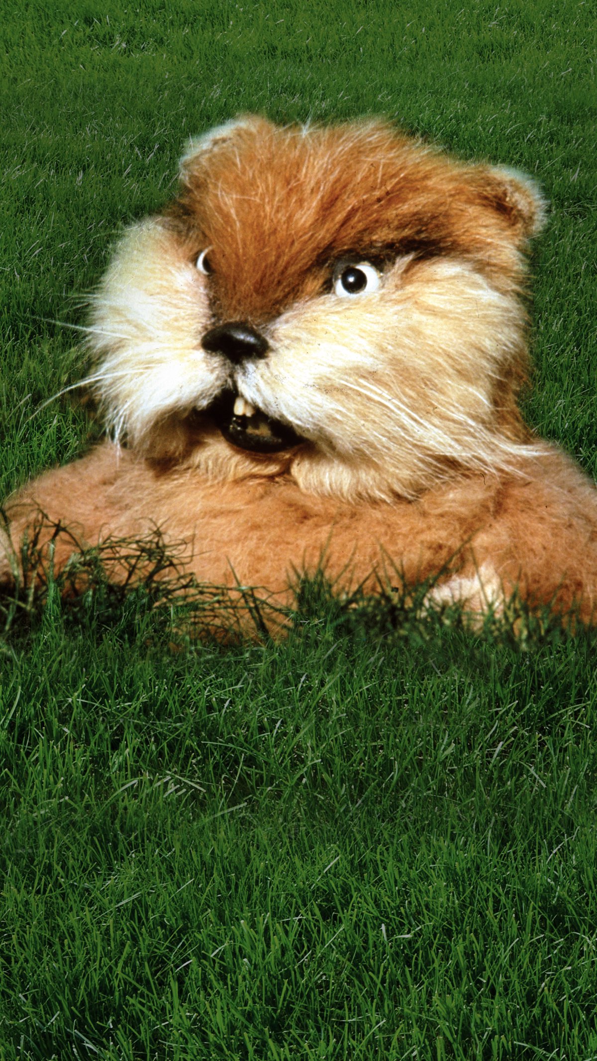 Caddyshack poster — movie on Apple TV+