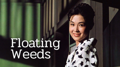 Floating Weeds poster — movie on Max
