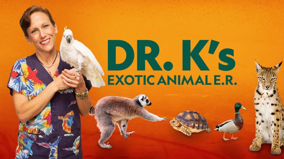 Dr. K's Exotic Animal ER poster — TV series on Disney+