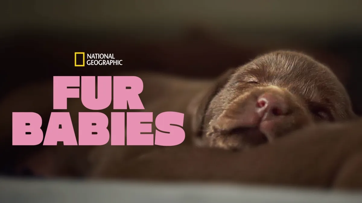 Fur Babies poster — TV series on Disney+