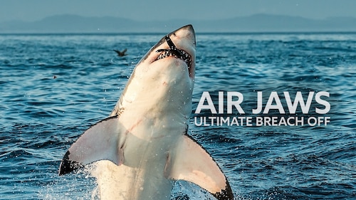 Air Jaws: Ultimate Breach Off poster — movie on Max