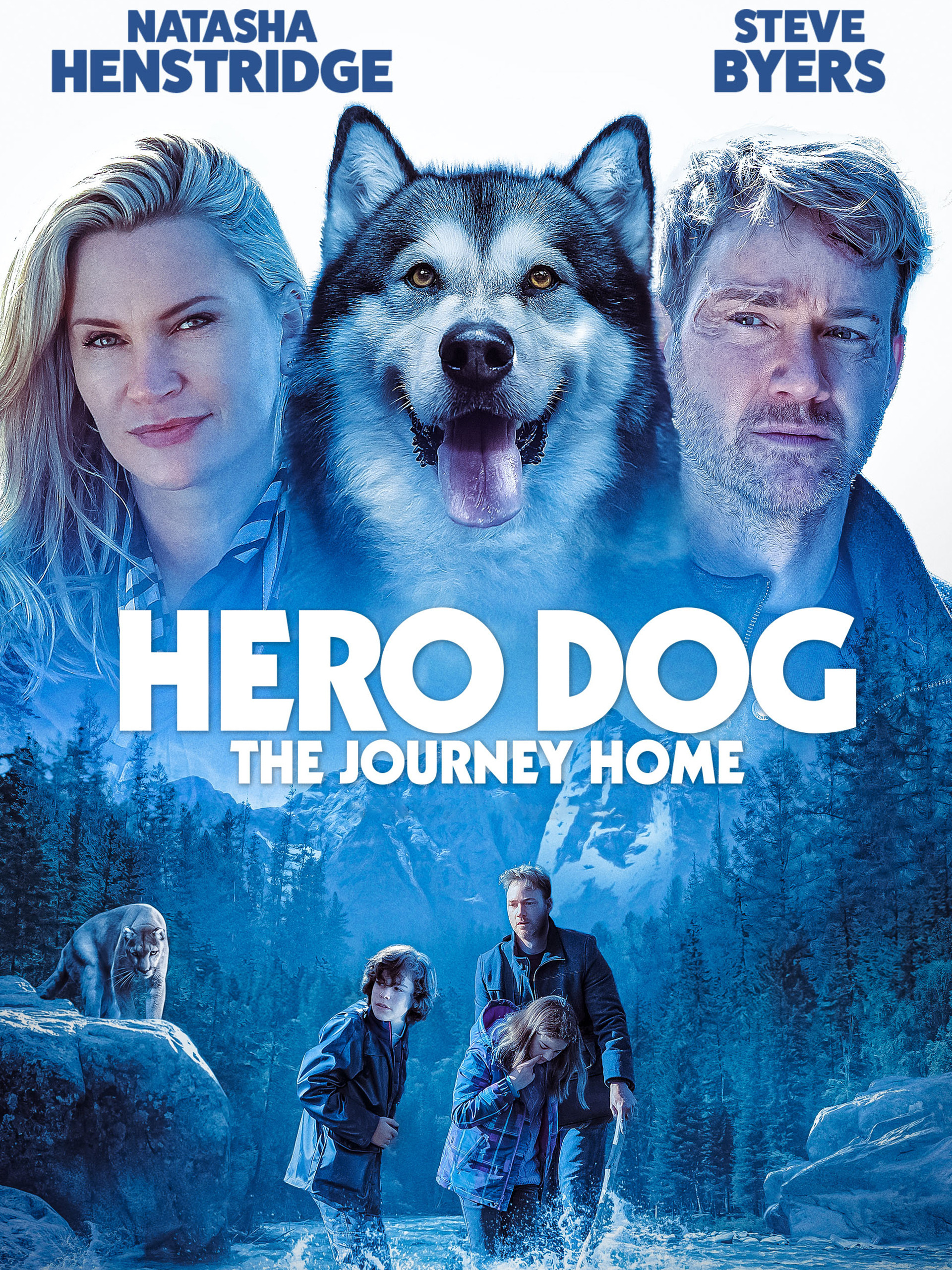 Hero Dog: The Journey Home poster — movie on Prime Video