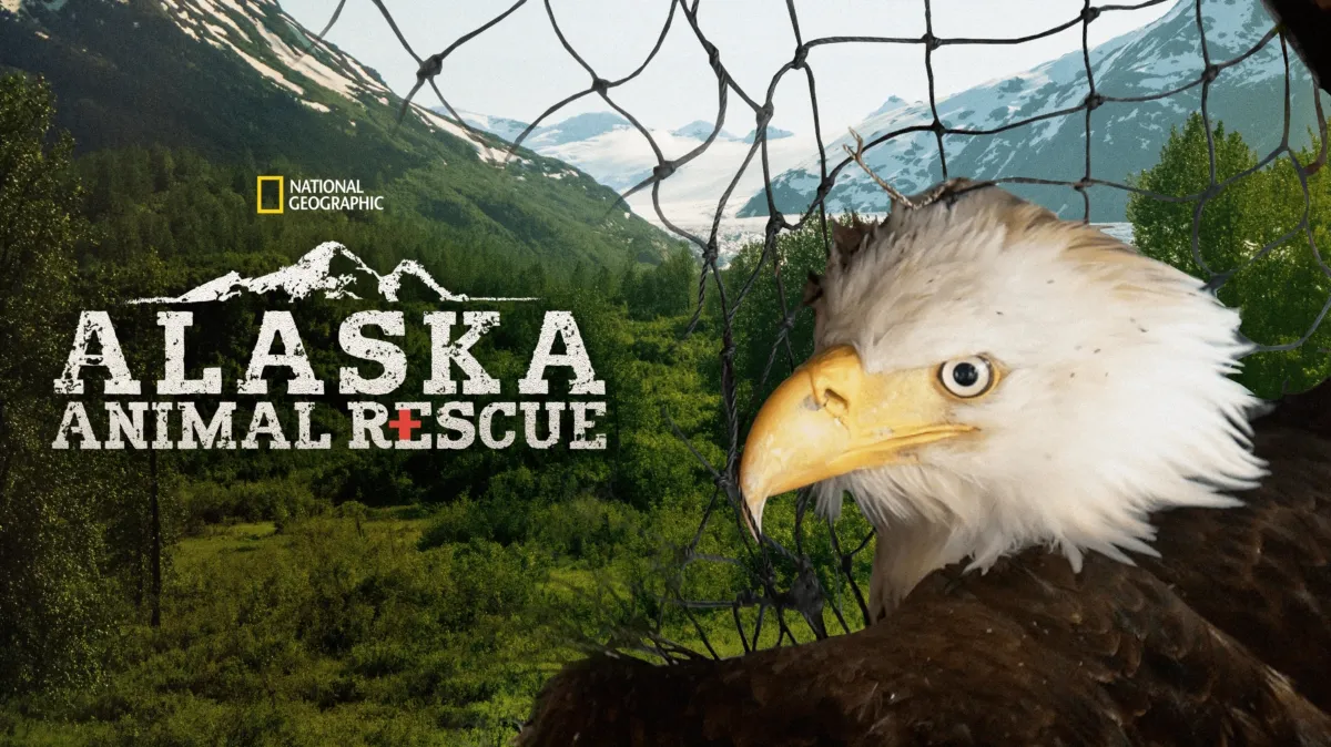Alaska Animal Rescue poster — TV series on Disney+