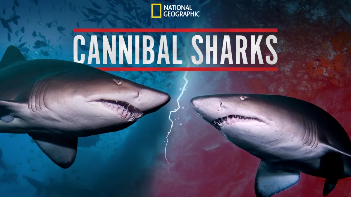 Cannibal Sharks poster — movie on Disney+