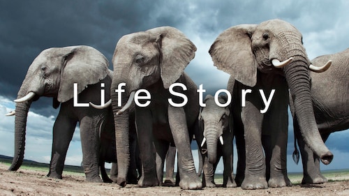 Life Story poster — TV series on Max