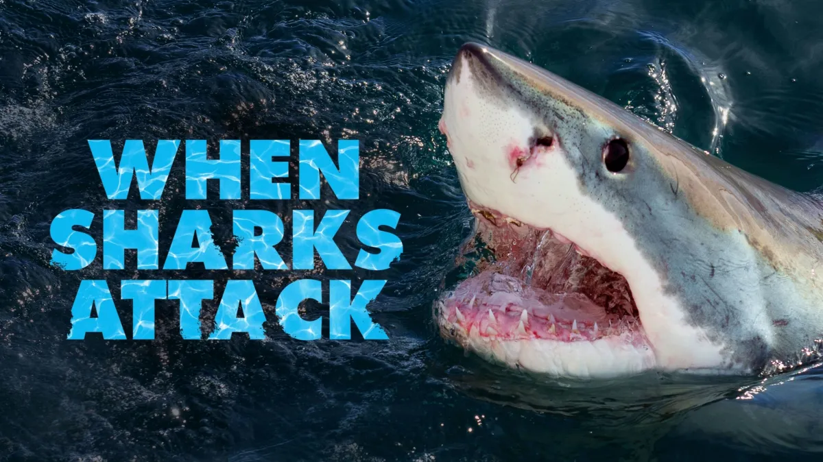 When Sharks Attack poster — TV series on Disney+