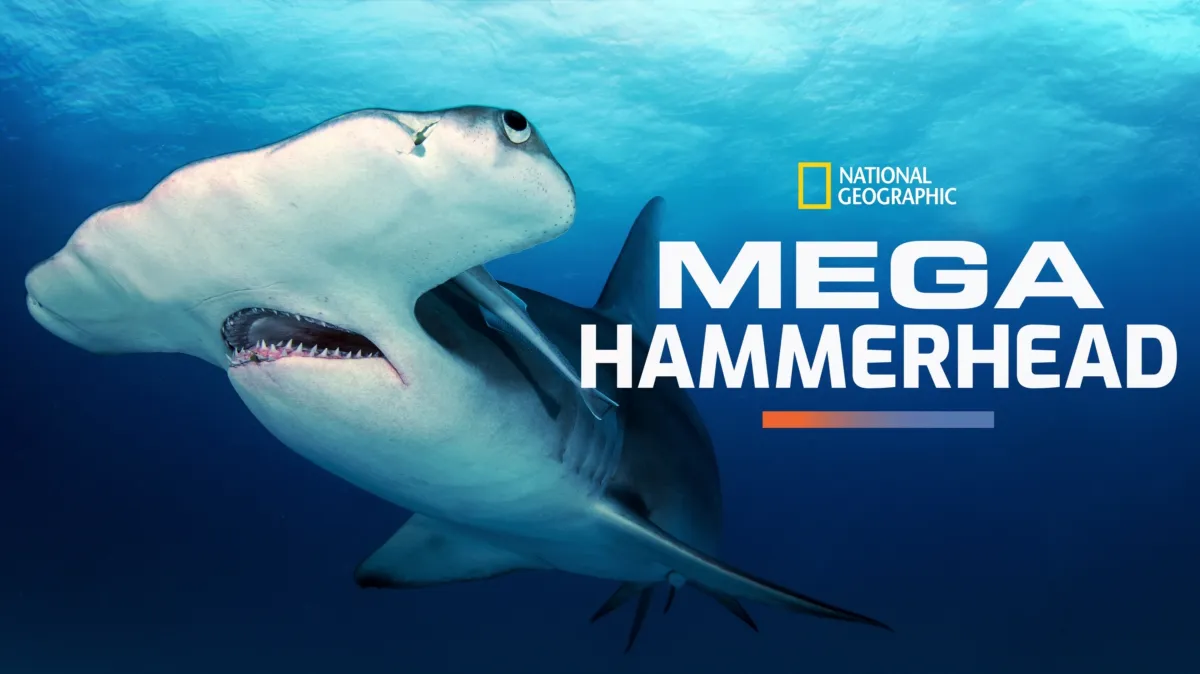 Mega Hammerhead poster — movie on Disney+