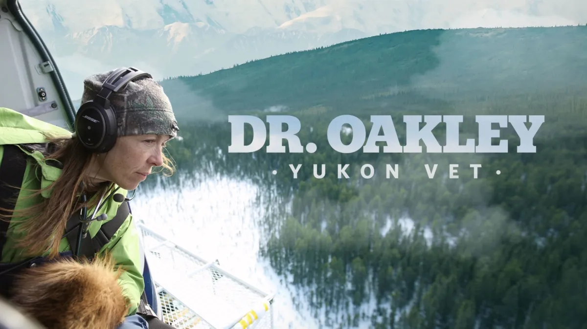 Dr. Oakley, Yukon Vet poster — TV series on Disney+