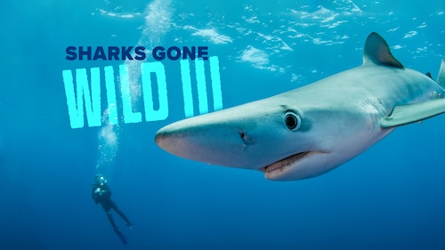 Sharks Gone Wild 3 poster — movie on Max