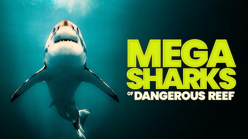 Megasharks of Dangerous Reef poster — movie on Max