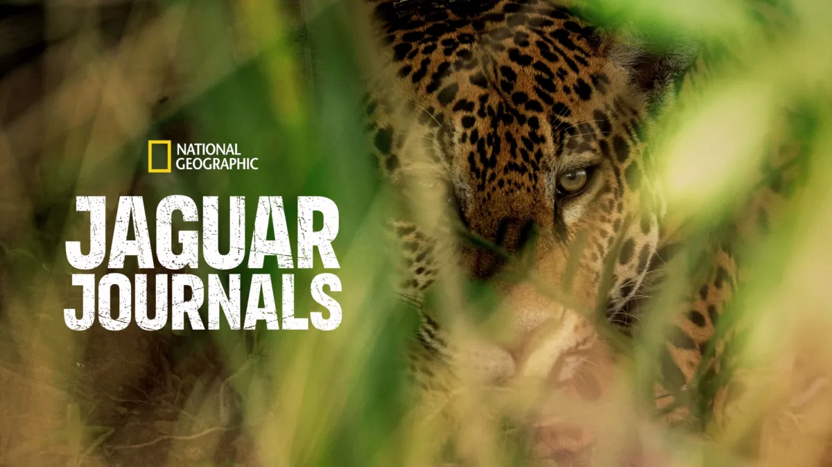 Jaguar Journals poster — TV series on Disney+