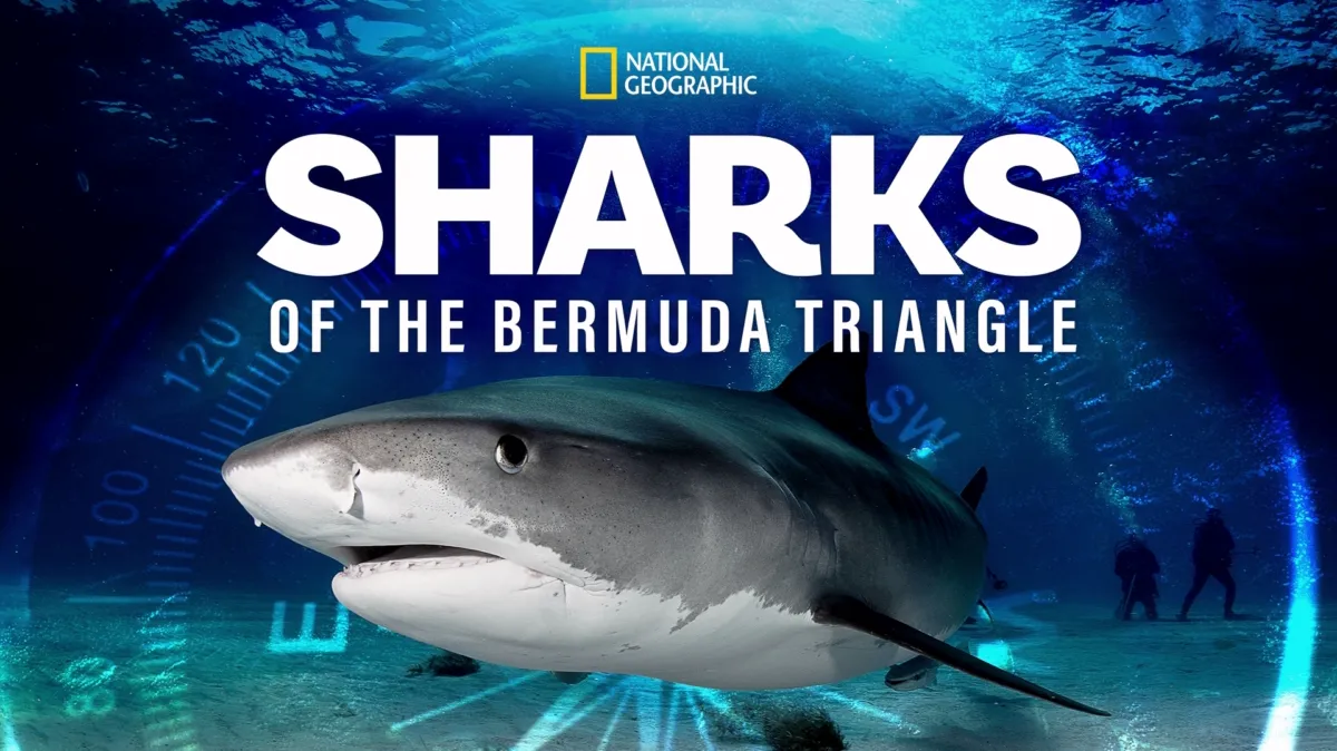 Sharks Of The Bermuda Triangle poster — movie on Disney+