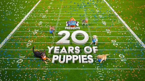 Puppy Bowl Presents: 20 Years of Puppies poster — movie on Max