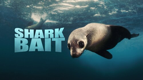 Shark Bait poster — movie on Max